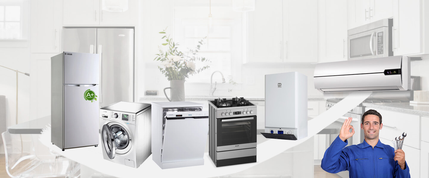 Honaz Electrolux Servisi